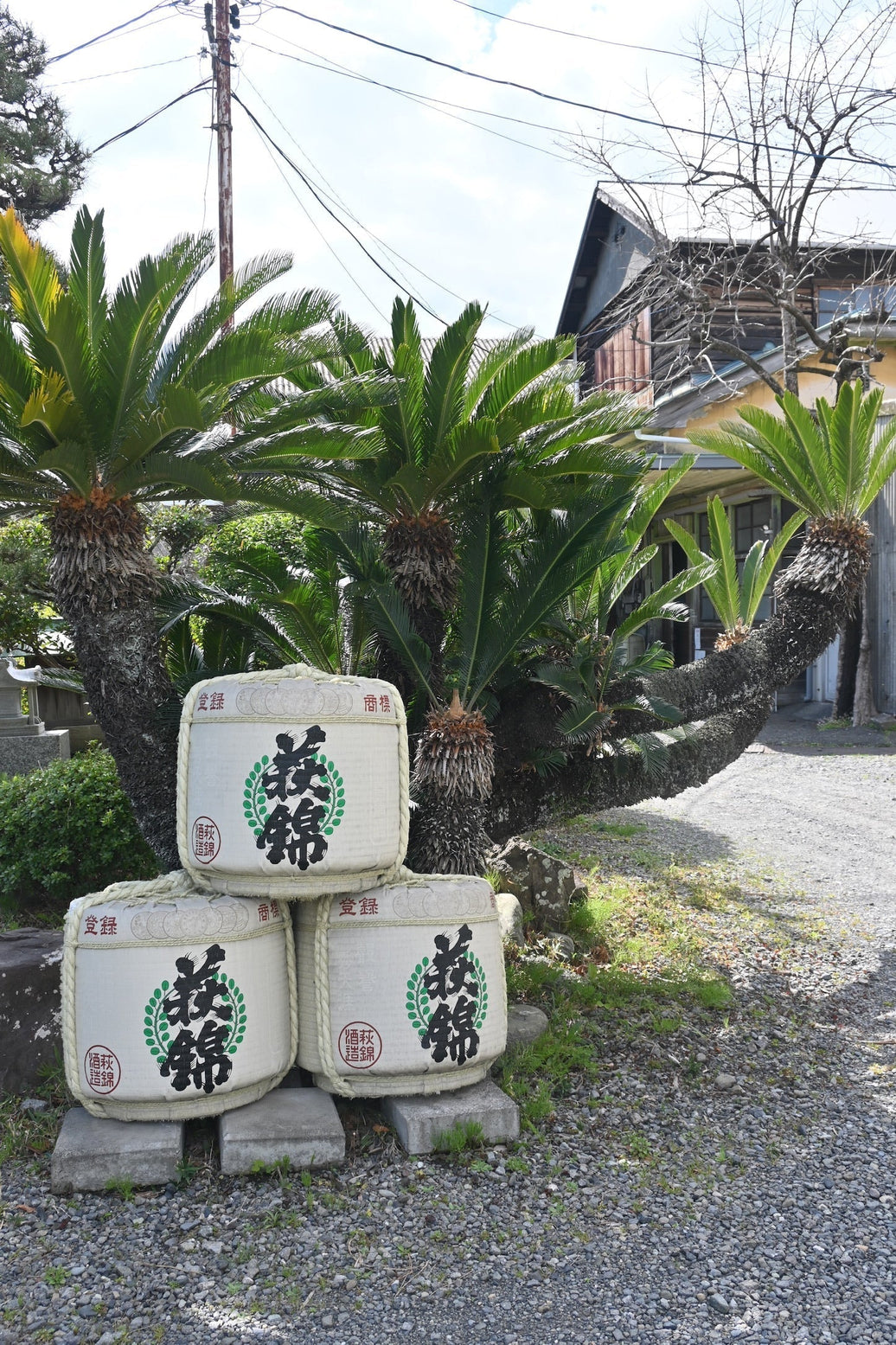 Haginishiki Shuzo